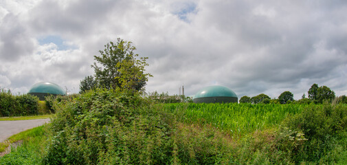 Biogasanlage zur Stromerzeugung und Energiegewinnung - 779887951
