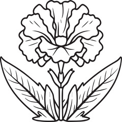 Carnation flower coloring pages. Carnation flower outline vector for coloring book