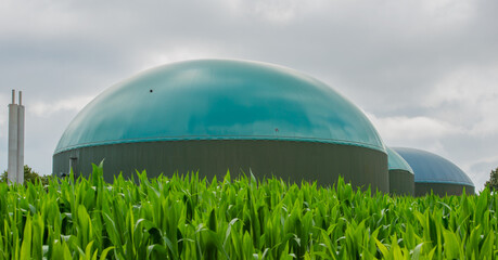 Biogasanlage zur Stromerzeugung und Energiegewinnung - 779888192