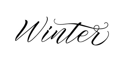 Winter - Handwritten text in calligraphic style on a white background. Vector illustration.