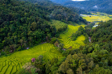 Aerial view of terrace ricefield in north Thailand - 779895193