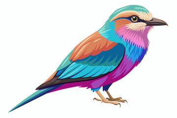 Lilac breasted roller vector illustration
