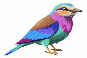 Lilac breasted roller vector illustration