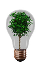 Green electric light bulb, clean energy, conceptual image, instead of an incandescent filament the glass bulb contains a plant, 3d rendering, 3d illustration - 779897360