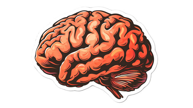 a cartoon image of a human brain, isolated, transparent background, formed as a sticker, art, science, natural, mind