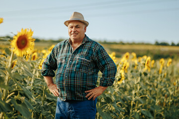 Cultivated Radiance Aged Farmer looking at camera Presence in Sunflowers