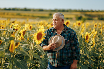 Nature Tapestry Aged Farmer Presence in Sunflowers