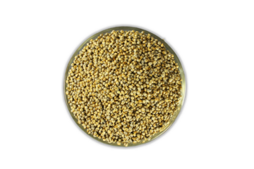 pearl millet grain whole in bowl also known in india as bajri,bajro,bajra,for indian gujarati food recipe dhebra,roti,rotla,khichdi,,cutout in transparent background,png format,top view
