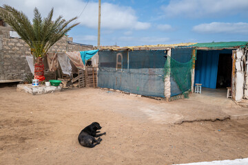 Un chien dort dans une rue devant une maison dans un village du Cap Vert en Afrique occidentale