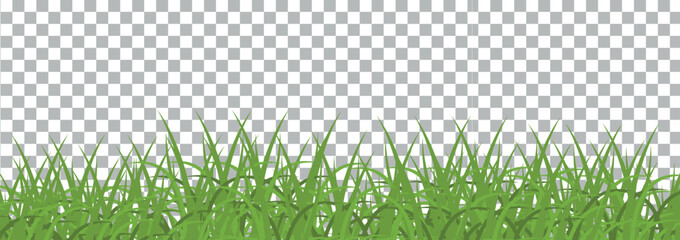 bright green realistic grass border isolated on transparent background. Green grass template copy space - obrazy, fototapety, plakaty