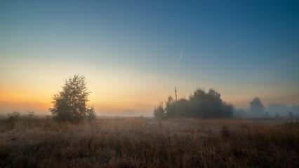 Early morning scenery in field. Foggy morning in the field. Yellow sunrise with fog in summer. - 779912789