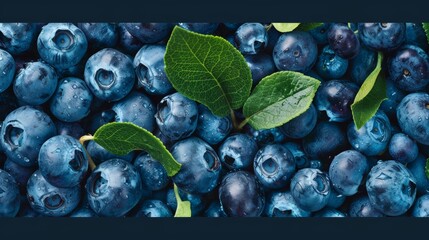 blueberries close-up texture background