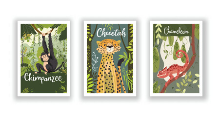 Wildlife and Nature Cards - Chameleon, Cheetah, Chimpanzee, Hand drawn cute Fox flyer. Vector illustration
