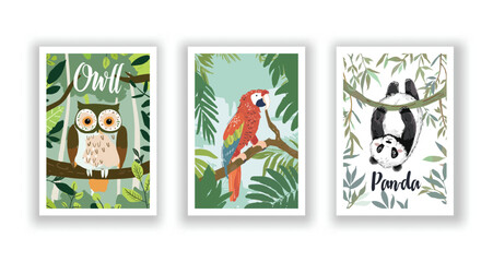 Wildlife and Nature Cards - Owl, Panda, Parrot, Hand drawn cute Fox flyer. Vector illustration