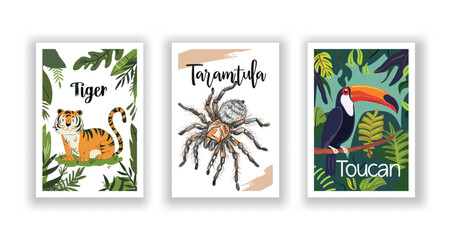 Wildlife and Nature Cards - Tarantula, Tiger, Toucan, Hand drawn cute Fox flyer. Vector illustration