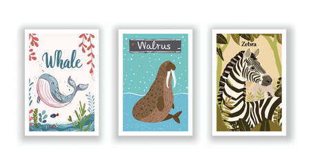 Wildlife and Nature Cards - Walrus. Zebra. Whale, Hand drawn cute Fox flyer. Vector illustration