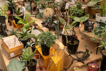 Plant pots and ornaments