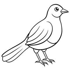 illustration of a bird