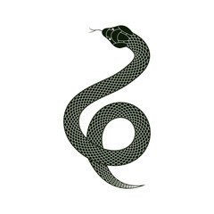 Black snake on white background. Vector illustration