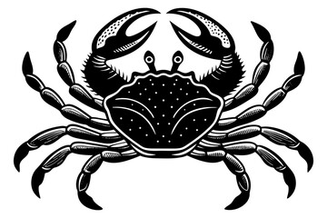 crab-isolated-on-white-background 