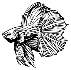 fighting fish, Betta fish icon vector illustration
