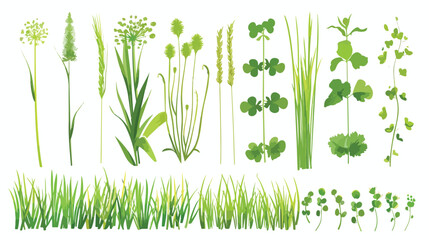 Fototapeta na wymiar Realistic grasses herbs succulents cereals green plants