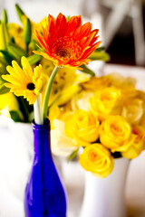 Daisy and. yellow roses in cobalt blue vase