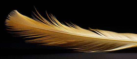 a golden feather on black background