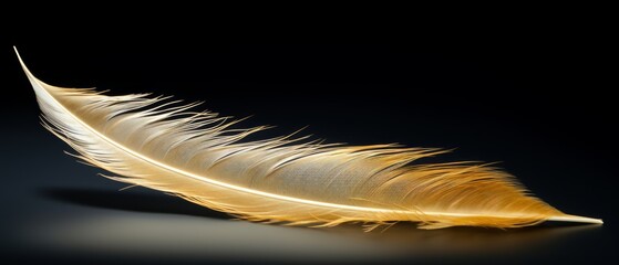 macro shot of a golden feather part black background