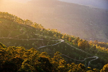 Winding road in the middle of tea plantations. Hills near Haputale in Sri Lanka at golden light.. - 779930591