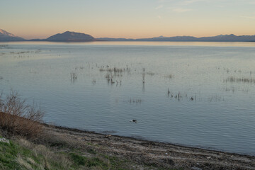 Utah Lake Overlook Vineyard City April