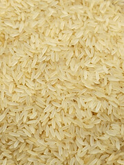 fond de riz blanc cru, en gros plan