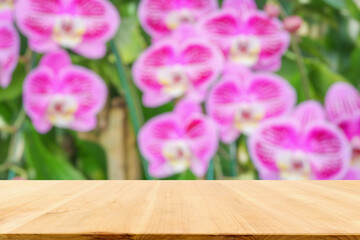 Empty wood table top with blur orchid garden background for product display