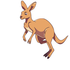 kangaroo cartoon illustration