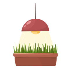 Growing wheat under a lamp, spring planting, agronomy. Vector illustration in flat style.