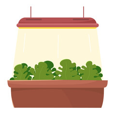 Growing lettuce under a lamp, seedlings, spring planting. Vector illustration.