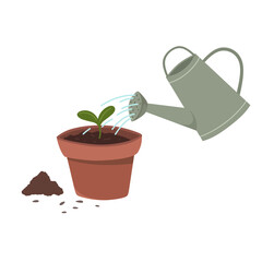 Watering a sprout in a pot, seedling vector illustration, spring planting.