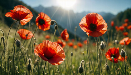 Obraz premium Red poppy. Poppy blossom. Mountain landscape with blooming red poppy. Panoramic view of flowering mountain meadows. AI generated