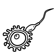 fertilization sexual repproduction cells vector icon drawing - obrazy, fototapety, plakaty