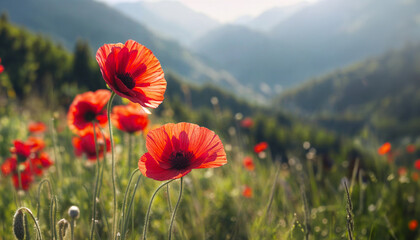 Red poppy. Poppy flowering. Mountain landscape with blooming red poppy. Panoramic view of flowering mountain meadows. I generated - obrazy, fototapety, plakaty