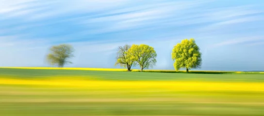 Selbstklebende Fototapeten Spring's Embrace: A Whirl of Verdant Trees in Morning Light - Generative AI © Gelpi