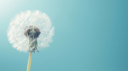 Serene Dandelion Wish Against a Pastel Blue Heaven - A Generative AI Creation