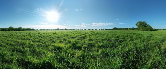 Obraz premium Sun-kissed Green Meadows Under Vast Blue Skies - The Essence of Spring - Generative AI