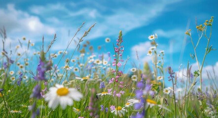 Whimsical Spring Meadow: Daisies Dancing in the Breeze - Generative AI