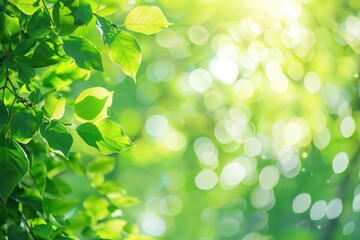 Naklejka premium Sun-kissed Leaves: A Symphony of Light and Life in Spring - Generative AI