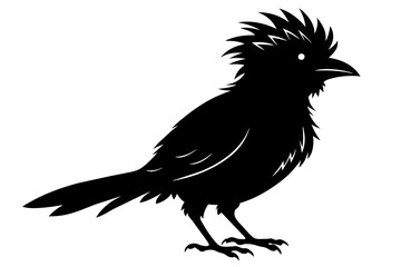 Fototapeta premium Lineated barbet black silhouette birds vector.