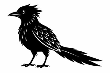 Lineated barbet black silhouette birds vector.