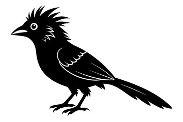 Lineated barbet black silhouette birds vector.