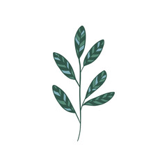 Green curved sprout with silhouette leaf. Icon Isolated on white.