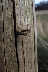 Tay banks walk - Errol - Perthshire - Scotland - UK